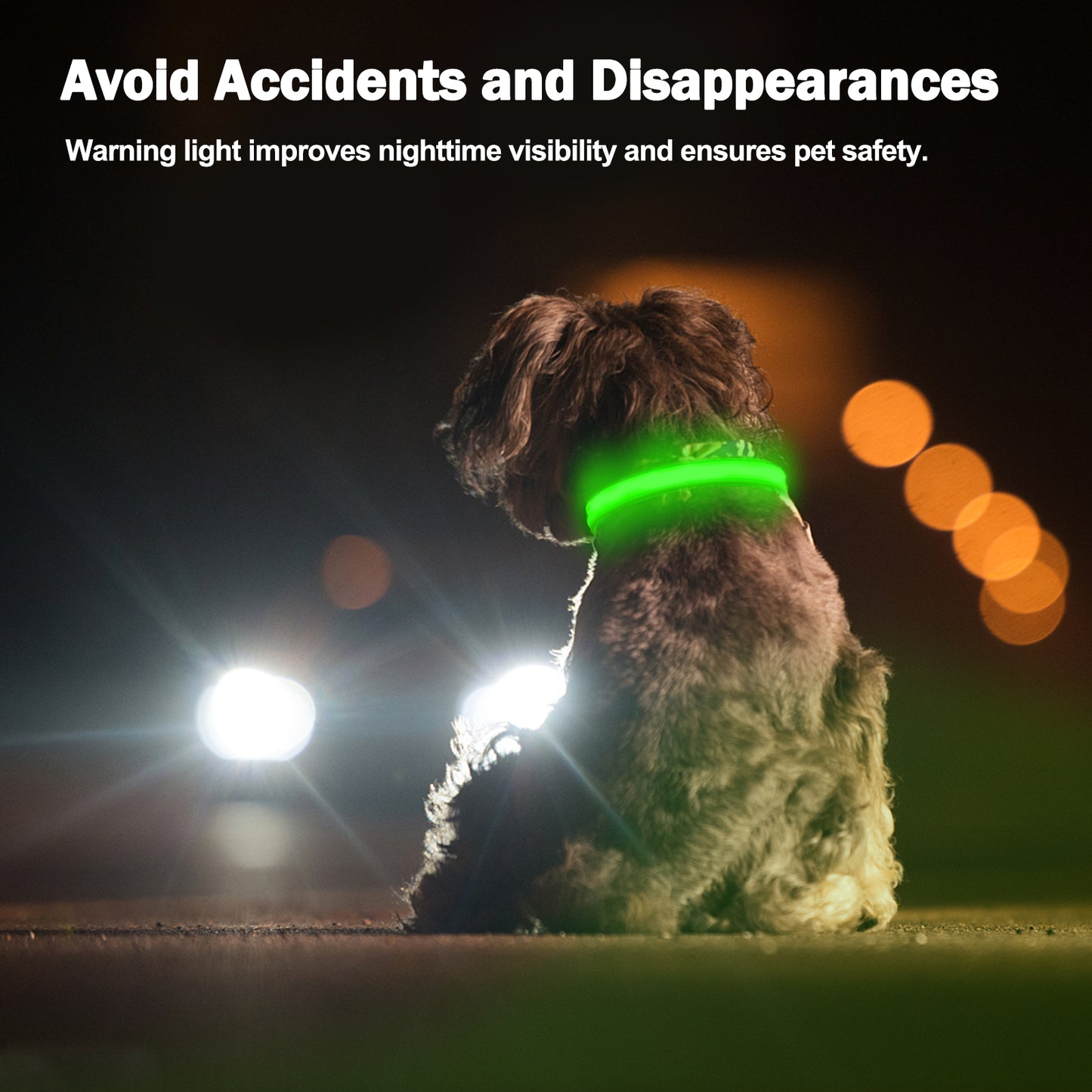 Light Up Dog Collar - Dog Collar Lights For The Dark Night, Adjustable Flashing Dog Collar Rechargeable