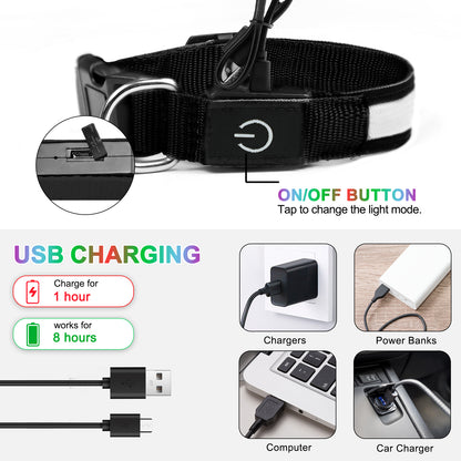 Light Up Dog Collar - Dog Collar Lights For The Dark Night, Adjustable Flashing Dog Collar Rechargeable
