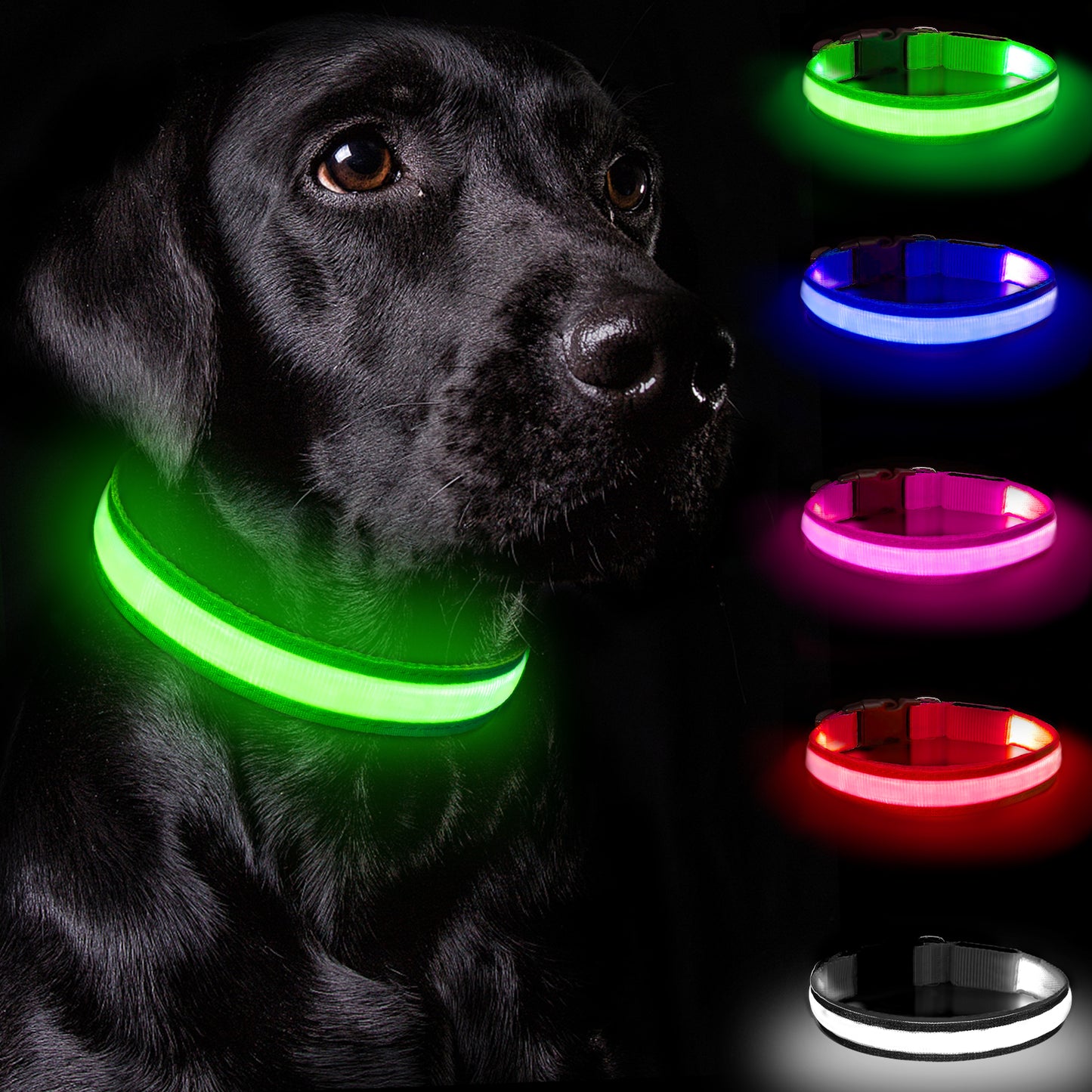 Light Up Dog Collar - Dog Collar Lights For The Dark Night, Adjustable Flashing Dog Collar Rechargeable